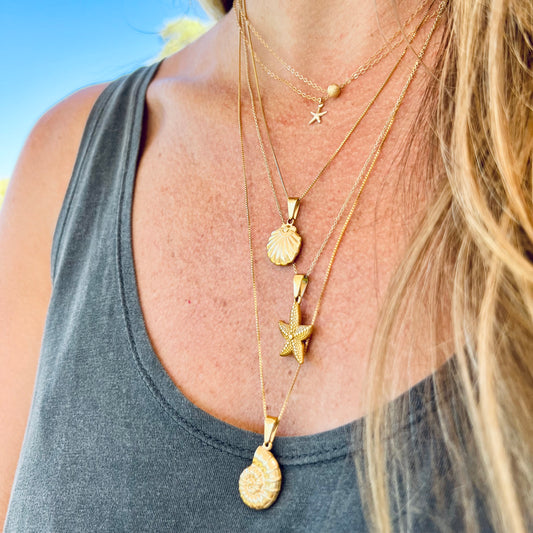 Seashell Necklace